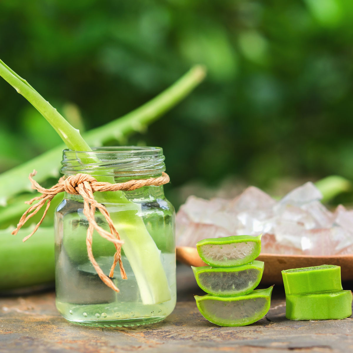 Aloe Vera, Soigner les pellicules, Pellicules, Traitement naturel, Salon de coiffure, Frisstyle, Coloration Végétale, Montpellier Centre, Coiffeur Bio, Visagiste, Meilleur Coiffeur, Bon Coiffeur, Coiffure Bio, Davines, Marcapar, Produits Naturels, Soin Coupe Mnémoénergétique®, Energétique, Audrey Thomas, Blog